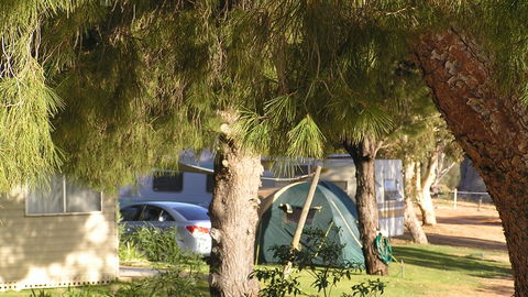 Barmera North Lake Caravan Park - Accommodation Perth 4