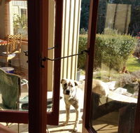 Mara Ponds Branxholm - Accommodation Perth