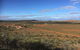 Mount Ive - thumb 1