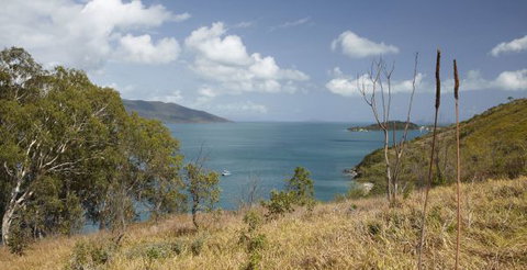 Molle Island National Park (Whitsundays National Park) Camping Ground - Accommodation Perth 1