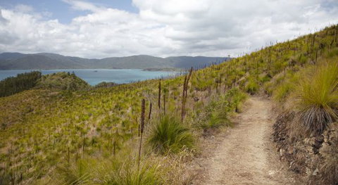 Molle Island National Park (Whitsundays National Park) Camping Ground - Accommodation Perth 2