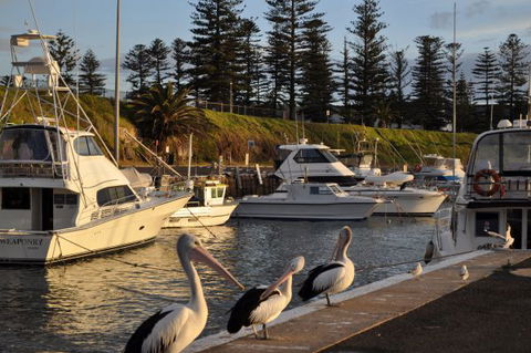 Nautica Accommodation Gerringong - Accommodation Perth 2