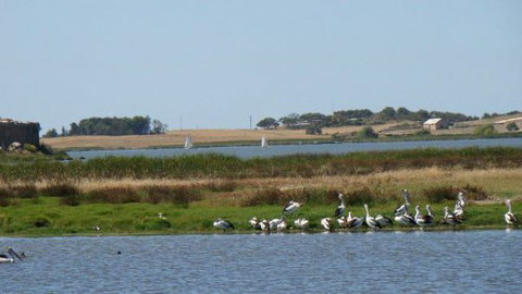 Peppertree Cottage - Perth Resorts 3