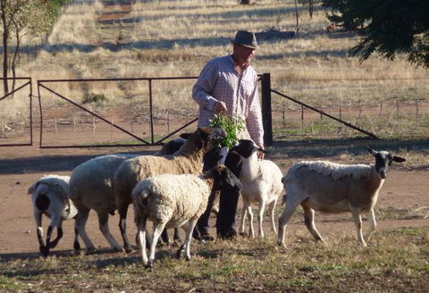 Selby Organic Farm Stay - Accommodation Perth 4
