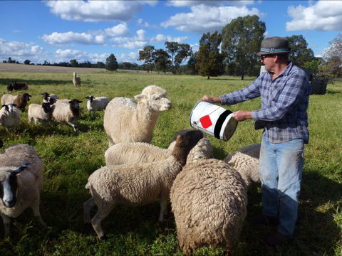 Selby Organic Farm Stay - Accommodation Perth 6