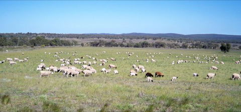 Selby Organic Farm Stay - Accommodation Perth 7