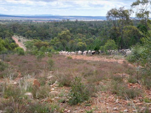 Selby Organic Farm Stay - Accommodation Perth 8