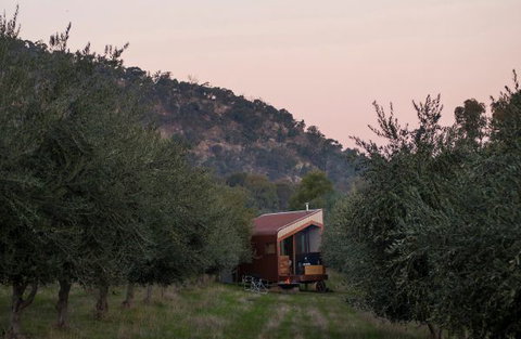 Shacky In The Olive Grove - Accommodation Perth 0