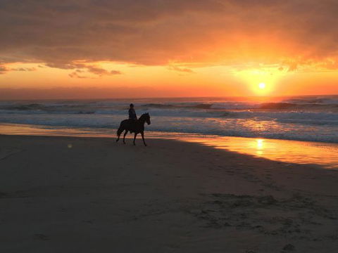 Tassiriki Holiday Cabins - Accommodation Perth 0