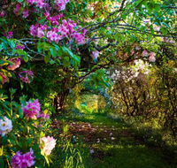 The Pear Walk - Accommodation Perth
