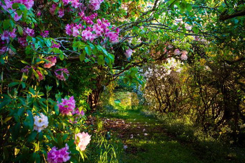 The Pear Walk - Perth Resorts 0