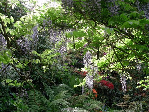 The Pear Walk - Perth Resorts 3