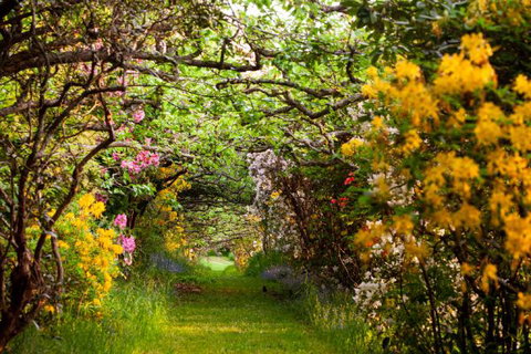 The Pear Walk - Perth Resorts 4