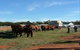 Trundle Showground - thumb 1