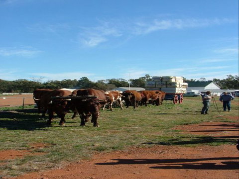 Trundle Showground - Accommodation Perth 1