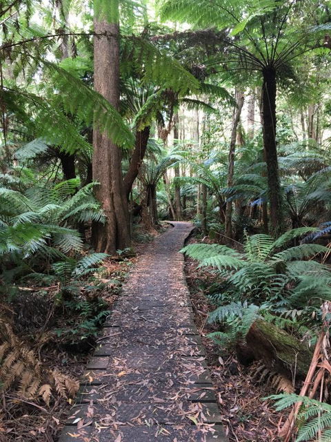 Woodland Mirth Holiday Retreat - Perth Resorts 8