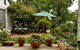 Young Garden Retreat - thumb 4