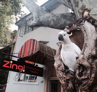 Zing Backpackers Hostel