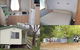 Adelong Golden Gully Caravan Park - thumb 4