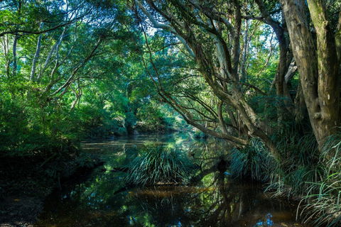 All About Me Bed And Breakfast - Accommodation Perth 9