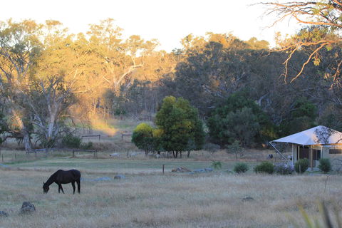 Boongarrie Luxury Tent - Accommodation Perth 7