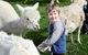 Boronia Farm - thumb 2