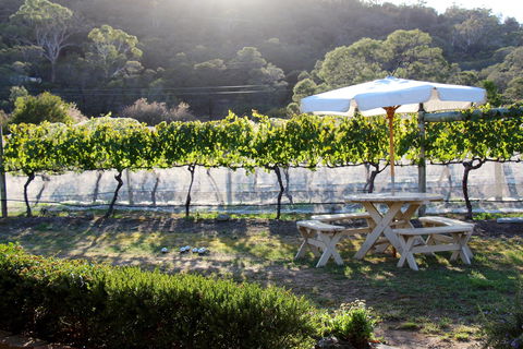Every Man And His Dog Vineyard - Accommodation Perth 1