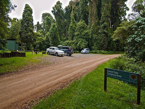 Forest Tops Campground - Accommodation Perth 1