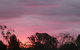 Forest Lodge Highfields - thumb 4