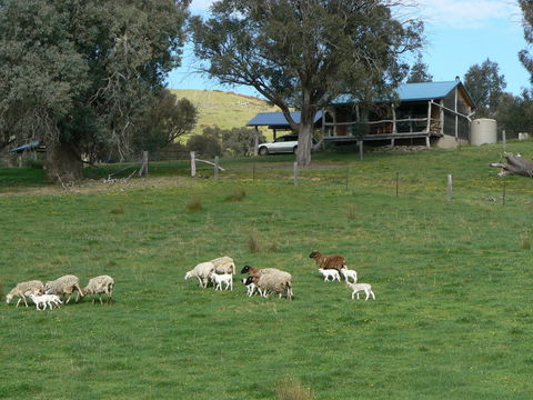 Gaddleen Grove Cottages - Accommodation Perth 0