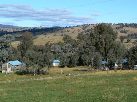 Gaddleen Grove Cottages - Accommodation Perth 7