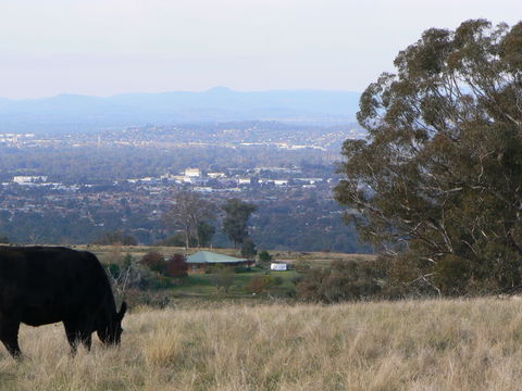 Gaddleen Grove Cottages - Accommodation Perth 8