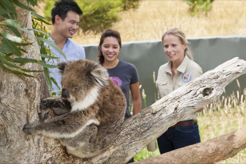 Great Ocean Ecolodge - Accommodation Perth 1