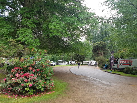 Harrietville Cabins And Caravan Park - Accommodation Perth 8