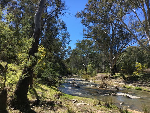 Highfield Farm And Woodland Bush Campsites - Accommodation Perth 0