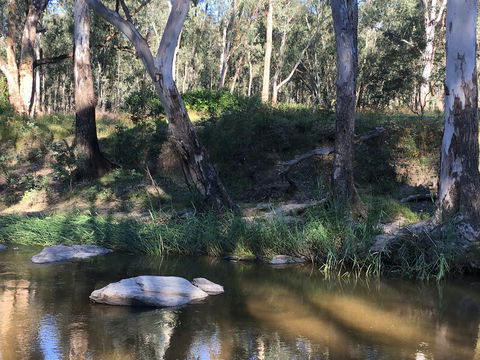 Highfield Farm And Woodland Bush Campsites - Accommodation Perth 1
