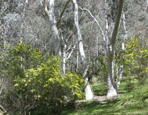 Highfield Farm And Woodland Bush Campsites - Accommodation Perth 4