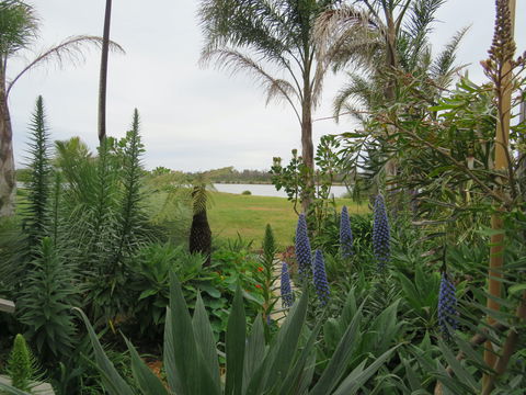 Lakes Waterfront Motel - Accommodation Perth 5