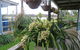 Lakes Waterfront Motel - thumb 6