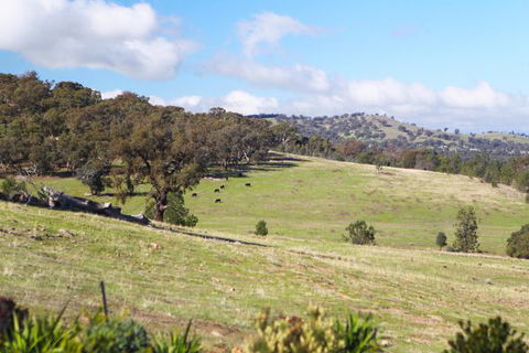 Longview Holiday Let Glenrowan - Perth Resorts 5