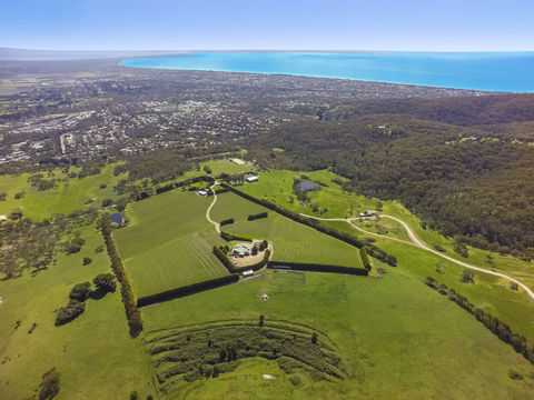 Mornington Peninsula Glamping - Accommodation Perth 5