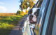 Mundubbera Three Rivers Tourist Park - thumb 9