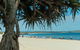 Noosa Caravan Park - thumb 0