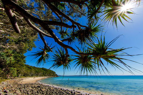 Noosa Caravan Park - Accommodation Perth 2