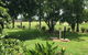 Noonamah Tourist Park - thumb 1