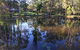 Telegraph Retreat Cottages - thumb 8