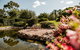 Yellow Dog Cottage - thumb 7