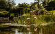 Yellow Dog Cottage - thumb 8