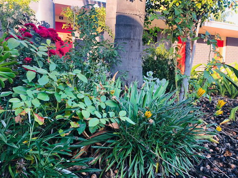 Albury Garden Court Motel - Accommodation Perth 1