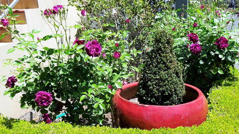Armidale Pines Motel - Perth Resorts 0